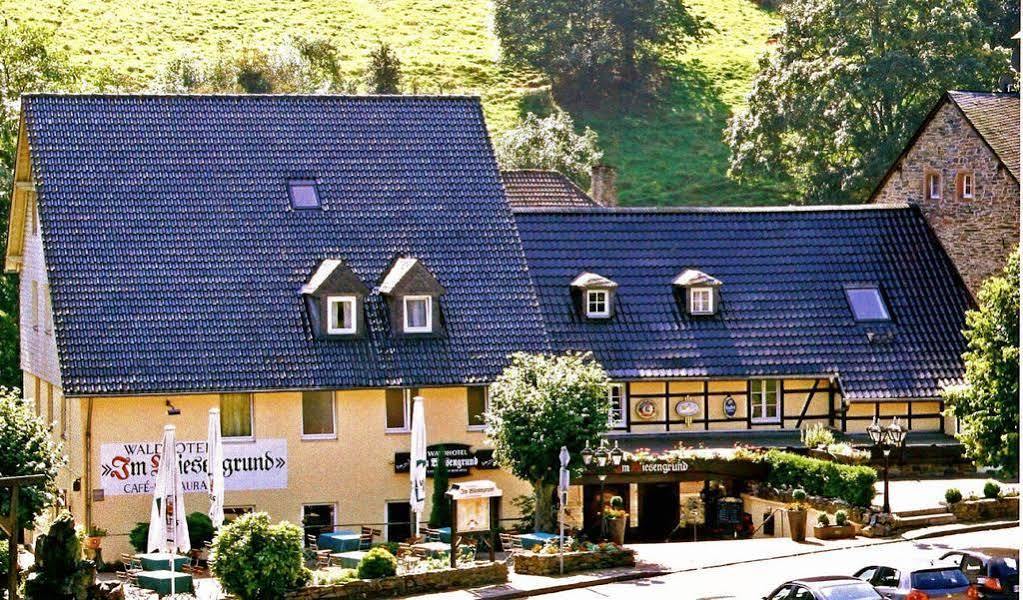 הורטגנוואלד Waldhotel Im Wiesengrund מראה חיצוני תמונה